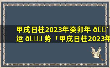 甲戌日柱2023年癸卯年 🌴 运 🐘 势「甲戌日柱2023年癸卯年运势详解」